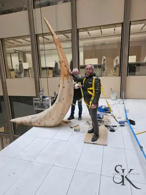 Escultura alargada y curvada en una exposición