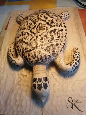 Tortuga con caparazón decorado