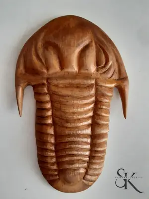 Relieve de un animal segmentado