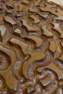 Ver primer plano del entramado enmarañado de la parte superior del relieve a tamaño completo