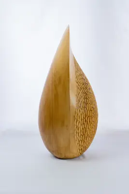 Ver Semilla de vida de perfil, donde se ve su silueta apuntada a tamaño completo